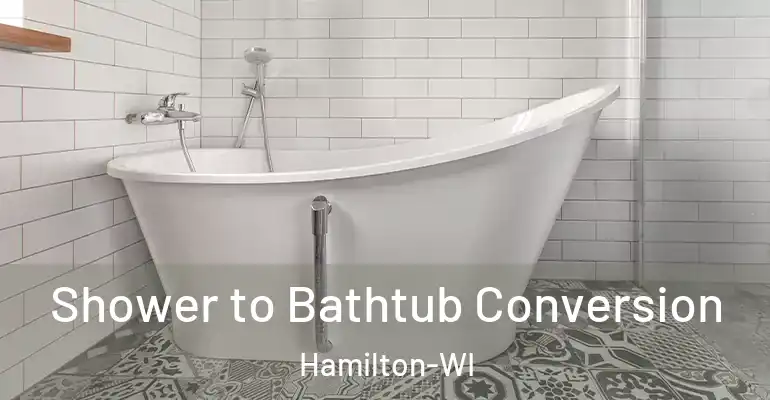 inner Bathroom imggen Shower to Bathtub Conversion Hamilton-WI