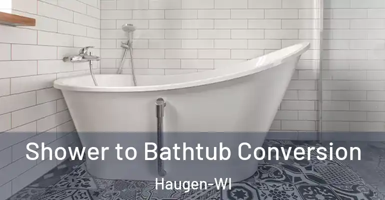 inner Bathroom imggen Shower to Bathtub Conversion Haugen-WI
