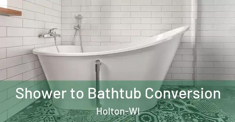inner Bathroom imggen Shower to Bathtub Conversion Holton-WI