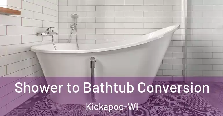 inner Bathroom imggen Shower to Bathtub Conversion Kickapoo-WI