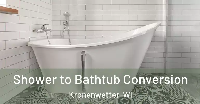 inner Bathroom imggen Shower to Bathtub Conversion Kronenwetter-WI