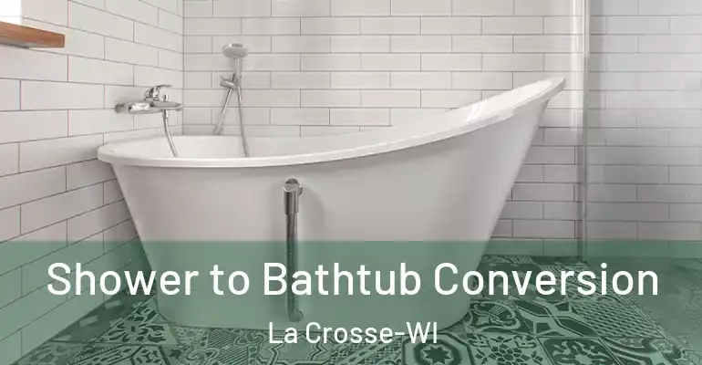 inner Bathroom imggen Shower to Bathtub Conversion La Crosse-WI