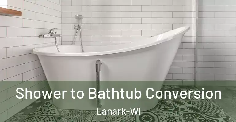 inner Bathroom imggen Shower to Bathtub Conversion Lanark-WI