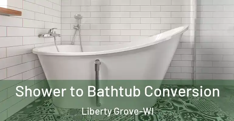 inner Bathroom imggen Shower to Bathtub Conversion Liberty Grove-WI