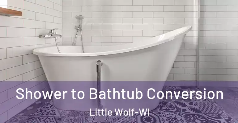 inner Bathroom imggen Shower to Bathtub Conversion Little Wolf-WI