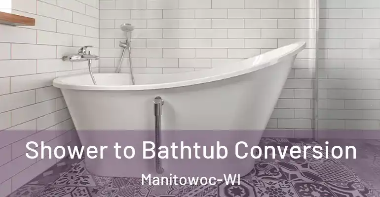 inner Bathroom imggen Shower to Bathtub Conversion Manitowoc-WI