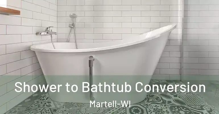 inner Bathroom imggen Shower to Bathtub Conversion Martell-WI