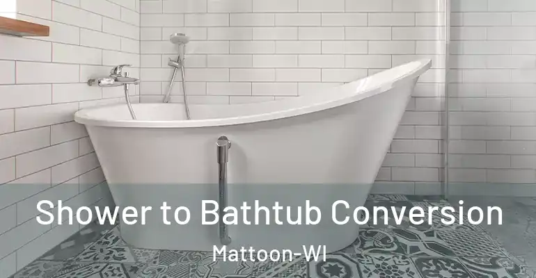 inner Bathroom imggen Shower to Bathtub Conversion Mattoon-WI