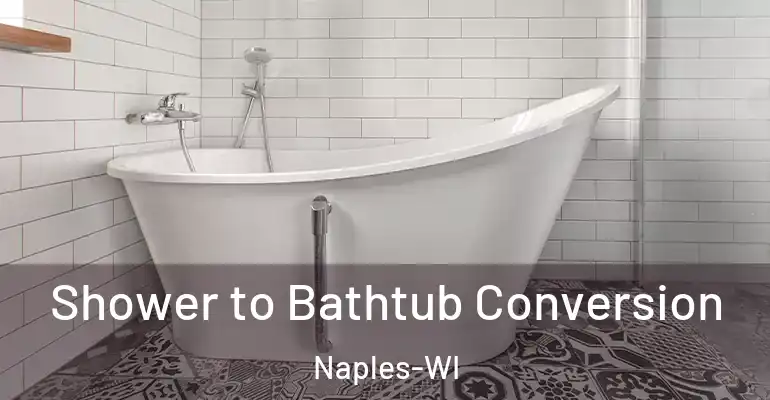 inner Bathroom imggen Shower to Bathtub Conversion Naples-WI