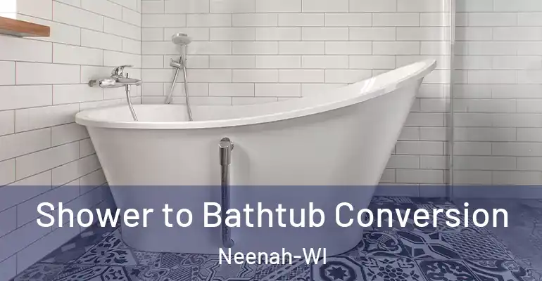 inner Bathroom imggen Shower to Bathtub Conversion Neenah-WI