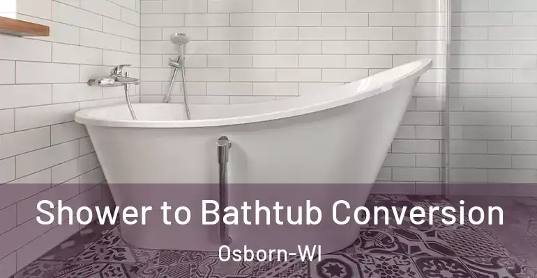 inner Bathroom imggen Shower to Bathtub Conversion Osborn-WI