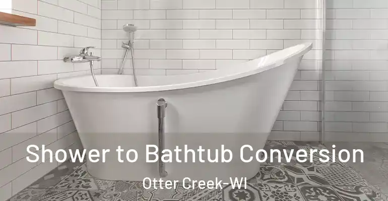 inner Bathroom imggen Shower to Bathtub Conversion Otter Creek-WI