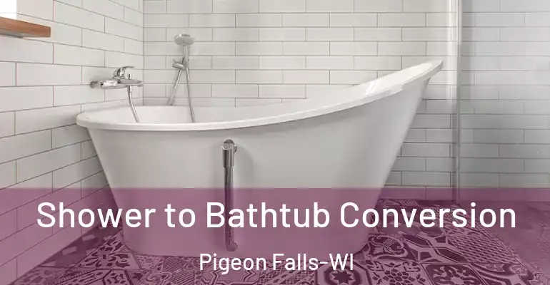 inner Bathroom imggen Shower to Bathtub Conversion Pigeon Falls-WI