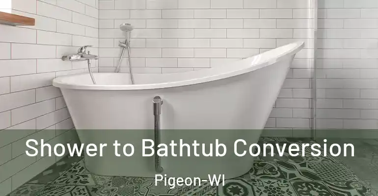 inner Bathroom imggen Shower to Bathtub Conversion Pigeon-WI