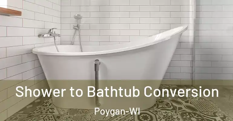 inner Bathroom imggen Shower to Bathtub Conversion Poygan-WI