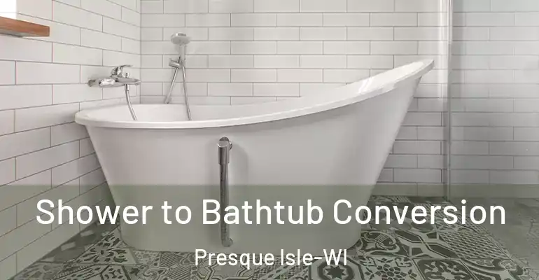 inner Bathroom imggen Shower to Bathtub Conversion Presque Isle-WI