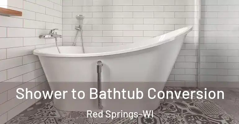 inner Bathroom imggen Shower to Bathtub Conversion Red Springs-WI