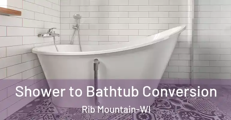 inner Bathroom imggen Shower to Bathtub Conversion Rib Mountain-WI