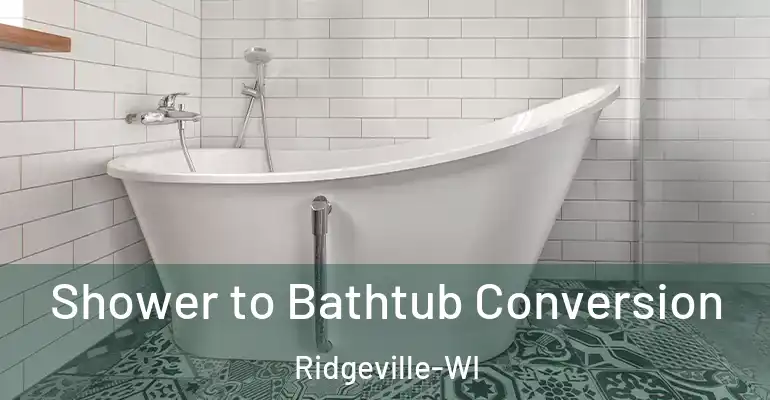 inner Bathroom imggen Shower to Bathtub Conversion Ridgeville-WI