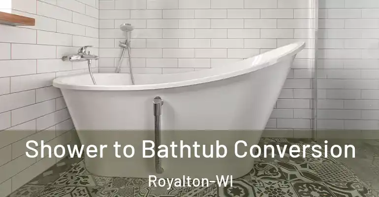 inner Bathroom imggen Shower to Bathtub Conversion Royalton-WI