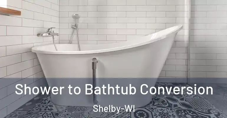 inner Bathroom imggen Shower to Bathtub Conversion Shelby-WI