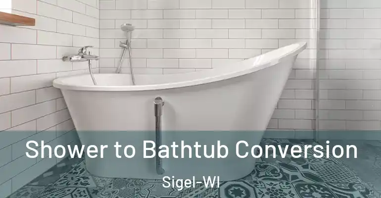 inner Bathroom imggen Shower to Bathtub Conversion Sigel-WI