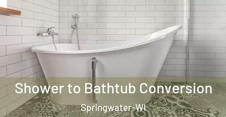 inner Bathroom imggen Shower to Bathtub Conversion Springwater-WI