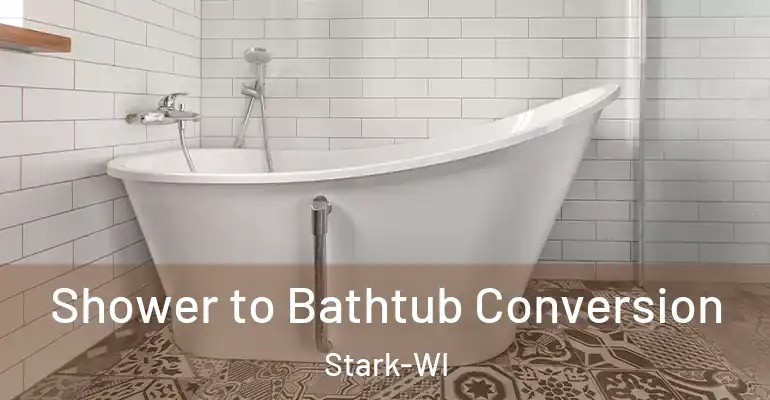 inner Bathroom imggen Shower to Bathtub Conversion Stark-WI