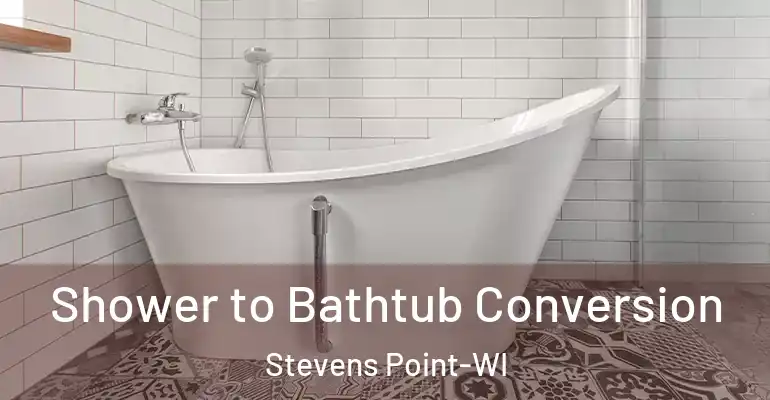 inner Bathroom imggen Shower to Bathtub Conversion Stevens Point-WI