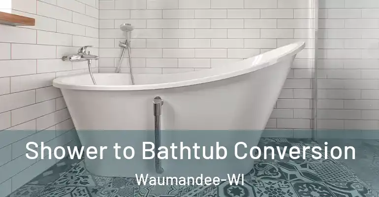 inner Bathroom imggen Shower to Bathtub Conversion Waumandee-WI
