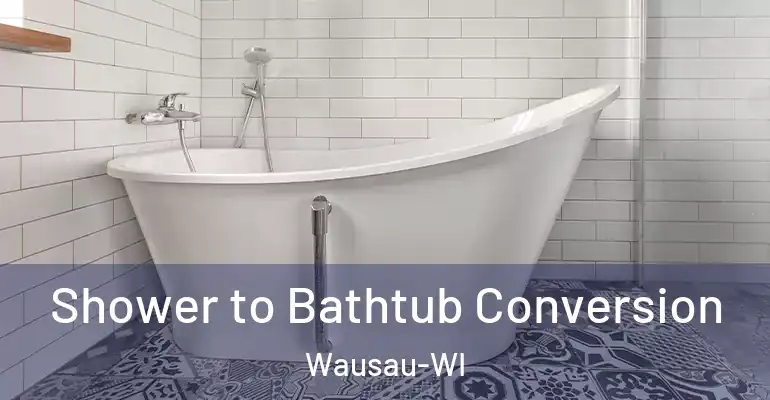 inner Bathroom imggen Shower to Bathtub Conversion Wausau-WI
