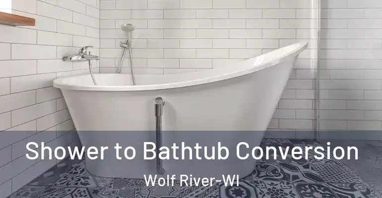 inner Bathroom imggen Shower to Bathtub Conversion Wolf River-WI