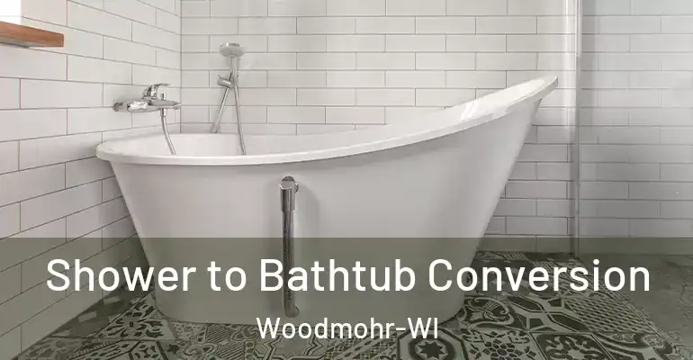 inner Bathroom imggen Shower to Bathtub Conversion Woodmohr-WI