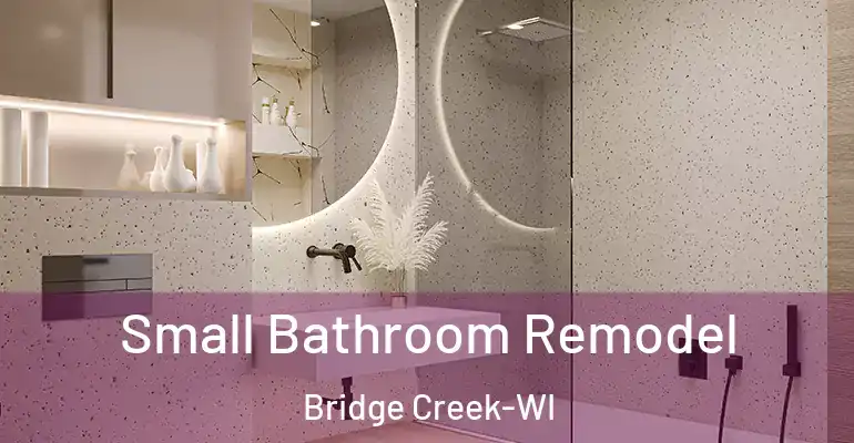 inner Bathroom imggen Small Bathroom Remodel Bridge Creek-WI