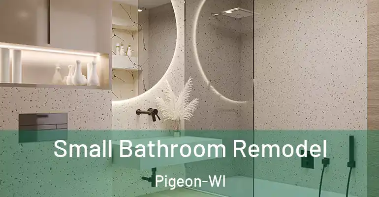 inner Bathroom imggen Small Bathroom Remodel Pigeon-WI