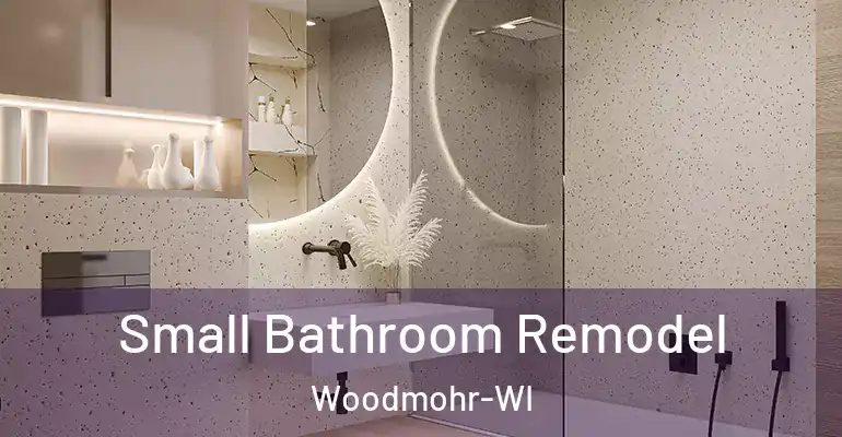 inner Bathroom imggen Small Bathroom Remodel Woodmohr-WI