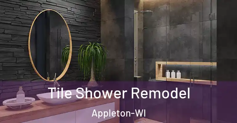 inner Bathroom imggen Tile Shower Remodel Appleton-WI