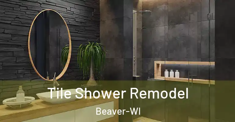 inner Bathroom imggen Tile Shower Remodel Beaver-WI