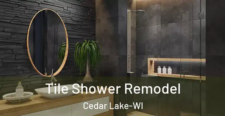inner Bathroom imggen Tile Shower Remodel Cedar Lake-WI