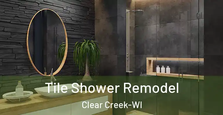 inner Bathroom imggen Tile Shower Remodel Clear Creek-WI