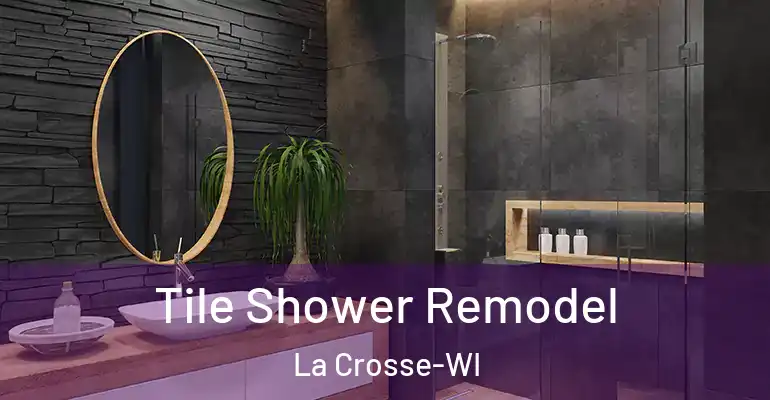 inner Bathroom imggen Tile Shower Remodel La Crosse-WI