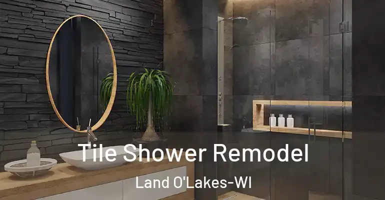 inner Bathroom imggen Tile Shower Remodel Land O'Lakes-WI