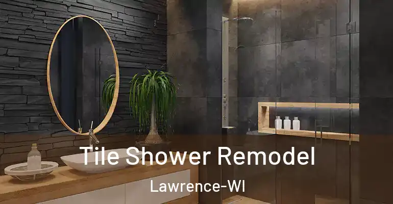 inner Bathroom imggen Tile Shower Remodel Lawrence-WI