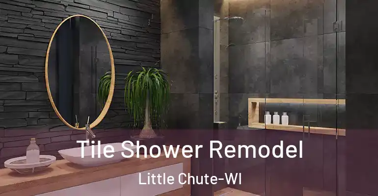 inner Bathroom imggen Tile Shower Remodel Little Chute-WI