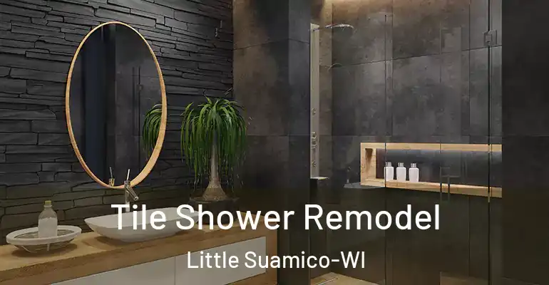 inner Bathroom imggen Tile Shower Remodel Little Suamico-WI