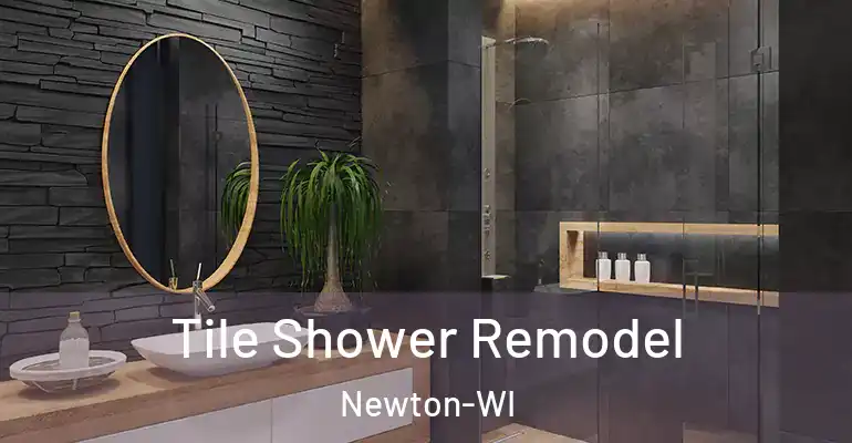 inner Bathroom imggen Tile Shower Remodel Newton-WI