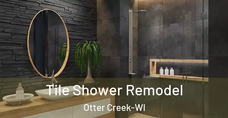 inner Bathroom imggen Tile Shower Remodel Otter Creek-WI
