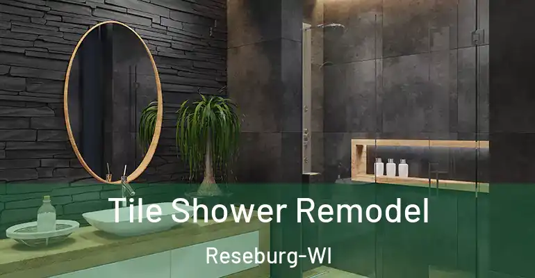 inner Bathroom imggen Tile Shower Remodel Reseburg-WI