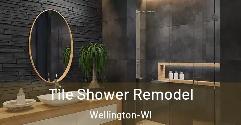 inner Bathroom imggen Tile Shower Remodel Wellington-WI