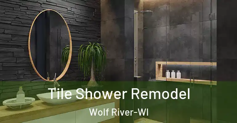 inner Bathroom imggen Tile Shower Remodel Wolf River-WI